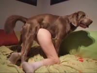 Ohknotty babe getting banged by a canine 